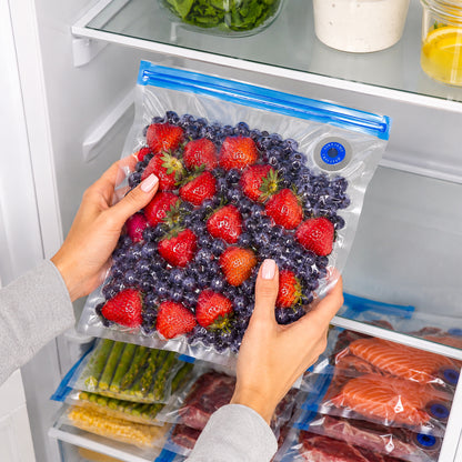 WellPreserve Cordless Vacuum Sealer Kit