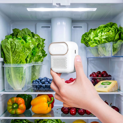 FreshGuard Fridge Deodorizer