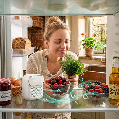 FreshGuard Fridge Deodorizer