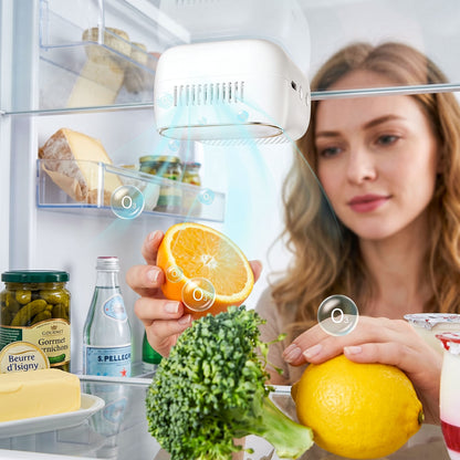 FreshGuard Fridge Deodorizer
