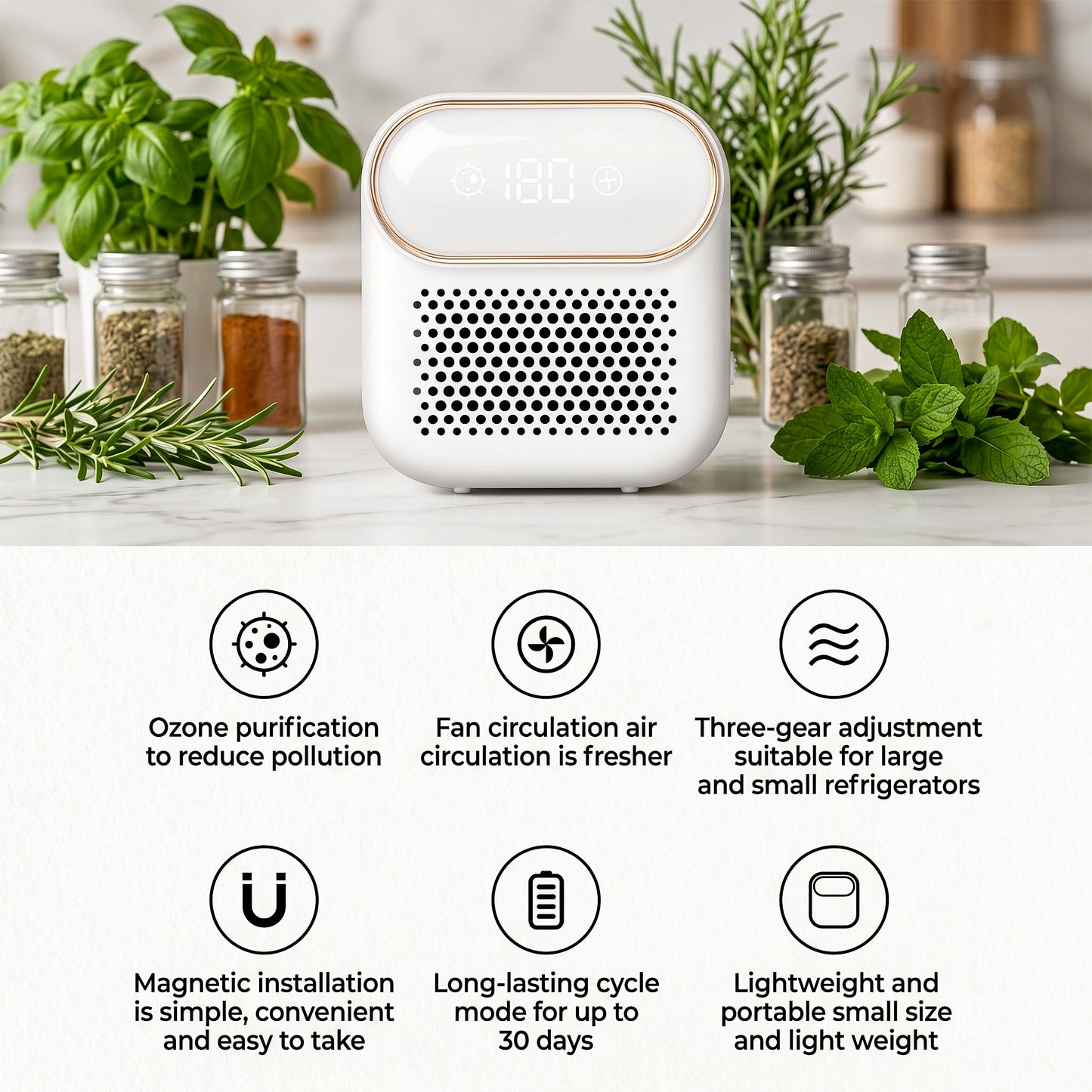 FreshGuard Fridge Deodorizer